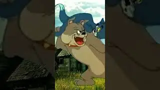Funny Video Tom And Jerry || Free Video No Copyryght 2023 #viral #cartoon #funny #video