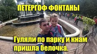 ПЕТЕРГОФ фонтаны 2020\Прогулка по парку\ПЕТРОДВОРЕЦ.