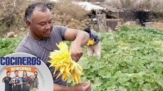 100% Mexican: Squash Blossom, Pride and Tradition | Mexican Chefs