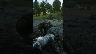 RED DEAD REDEMPTION 2: NA JORNADA DE COLOCAR O NOME DO CAVALO 