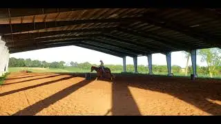 Spanish Red Jack - trotting barrels
