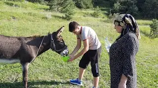 В ГОРАХ ДАГЕСТАНА🌲/ ГОРЫ⛰/ОСЛИК🌼/МОМЕНТЫ ИЗ ЖИЗНИ🧕