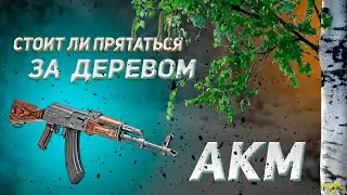 СТОИТ ЛИ ПРЯТАТЬСЯ ЗА ДЕРЕВОМ ОТ АКМ