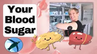 Your BLOOD SUGAR:  Insulin and Glucagon 🐧