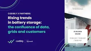 Webinar: Rising trends in battery storage: data, smart grids and customers