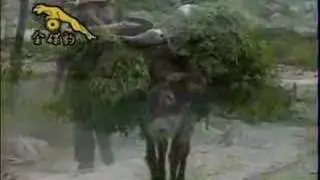 永遠是朋友