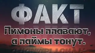 Факт Лимоны плавают, а лаймы тонут.