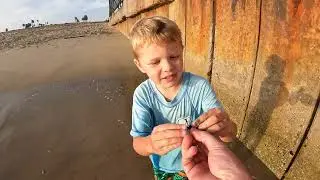 Country Roads and Crabs