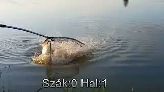 A Random peca Nálunk.