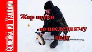 Жор щуки весной рыбинское водохранилище