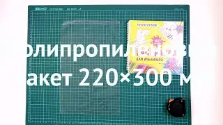 ПП пакет с клапаном и скотчем 220×300 ozon