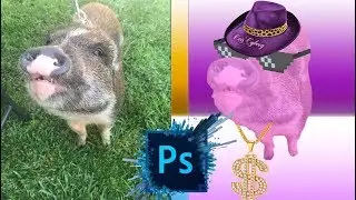 How to turn a pig into a ⭐PIMP ⭐ in Photoshop Quick Tutorial