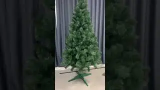 Ель зеленая "Император"