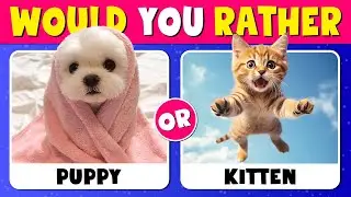 Would You Rather...? ANIMALS Edition 🐇😺🐶 Quiz Time