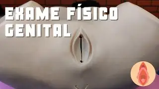 Exame Físico Genital Feminino - Prática Médica - Medicina UNILA