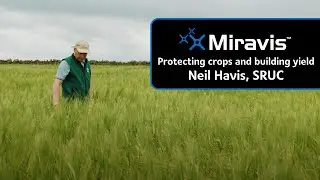 Protecting crops and building yield with MIRAVIS®