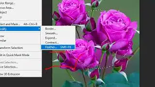 Online class Photoshop 2020 all tools zoom meet