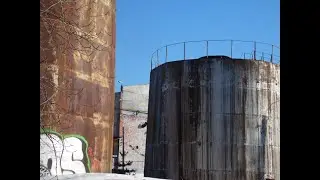 Крысы классные