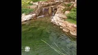 Восхитительный купальный прудик