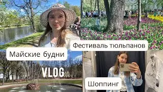 VLOG | Фестиваль тюльпанов| Шоппинг | Покупки на лето
