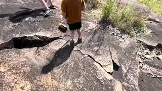 Jim Falls Micro Comp