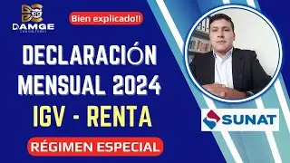Declaración mensual SUNAT 2024 Régimen Especial |¿Cómo declarar mi impuesto mensual?