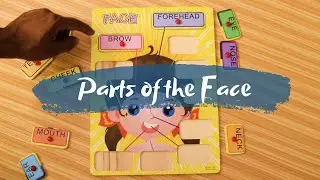 Parts of our Face | Fun Learning for Kids