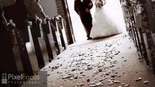 Pixelfocus - Miami Wedding Photography