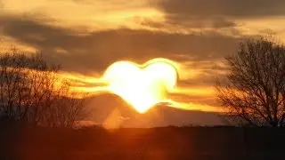 Тёплые факты о любви.