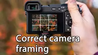 Proper framing of the camera during rendering
