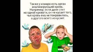 Информация к размышлению или о комарах и не только - Может поможет зрителям ... /CM в комментариях/