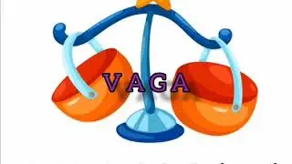VAGA-Sve o vagama i sa svim podznacima