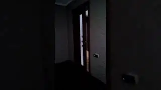 У меня дома призраки