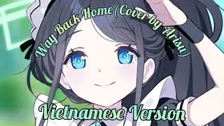 Way Back Home (Vietnamese Version) | Arisu cover