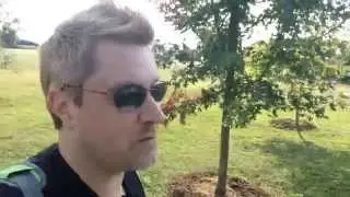Walk & Talk #003 - RPO