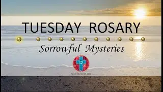 Tuesday Rosary • Sorrowful Mysteries of the Rosary 💜 August 8, 2023 VIRTUAL ROSARY - MEDITATION