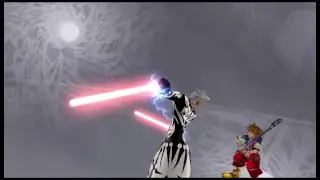 Kingdom Hearts 2 HD Finishing Critical
