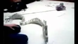Old Cellphone Videos - Domino Effect 5 (10 / 10)