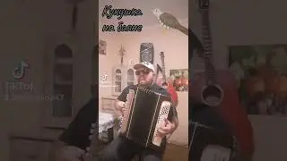 Виктор Цой и группа Кино. Кукушка! Кавер на баяне! 