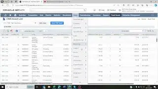 Imported Fixed assets not showing values on the balance sheet on netsuite Fix
