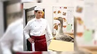 Песня из сериала кухня (speed up)