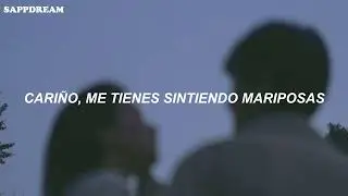STRAY KIDS - BUTTERFLIES (Sub. Español)