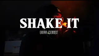 Bigg Meezy - Shake It (Official Music Video) ShotBy. @eliflimedit