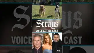 Strays: Voice Acting Cast 