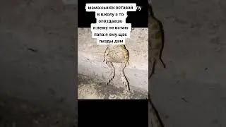 БЫЛО УЗНАЛИ В ШКОЛЕ #приколы #мем #тикток #школа