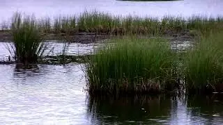 Мурманск. Озеро Большое. На Ивановском ручье.
