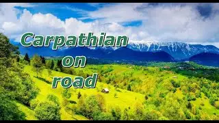 Carpathian on road