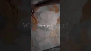Why do you paint?