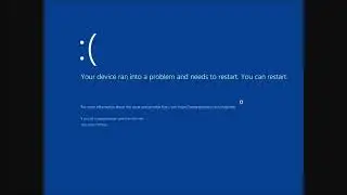 Tiny11 has BSOD (Vectras VM VNC)