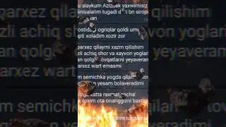 онлайн консультатция гепатолога🩺